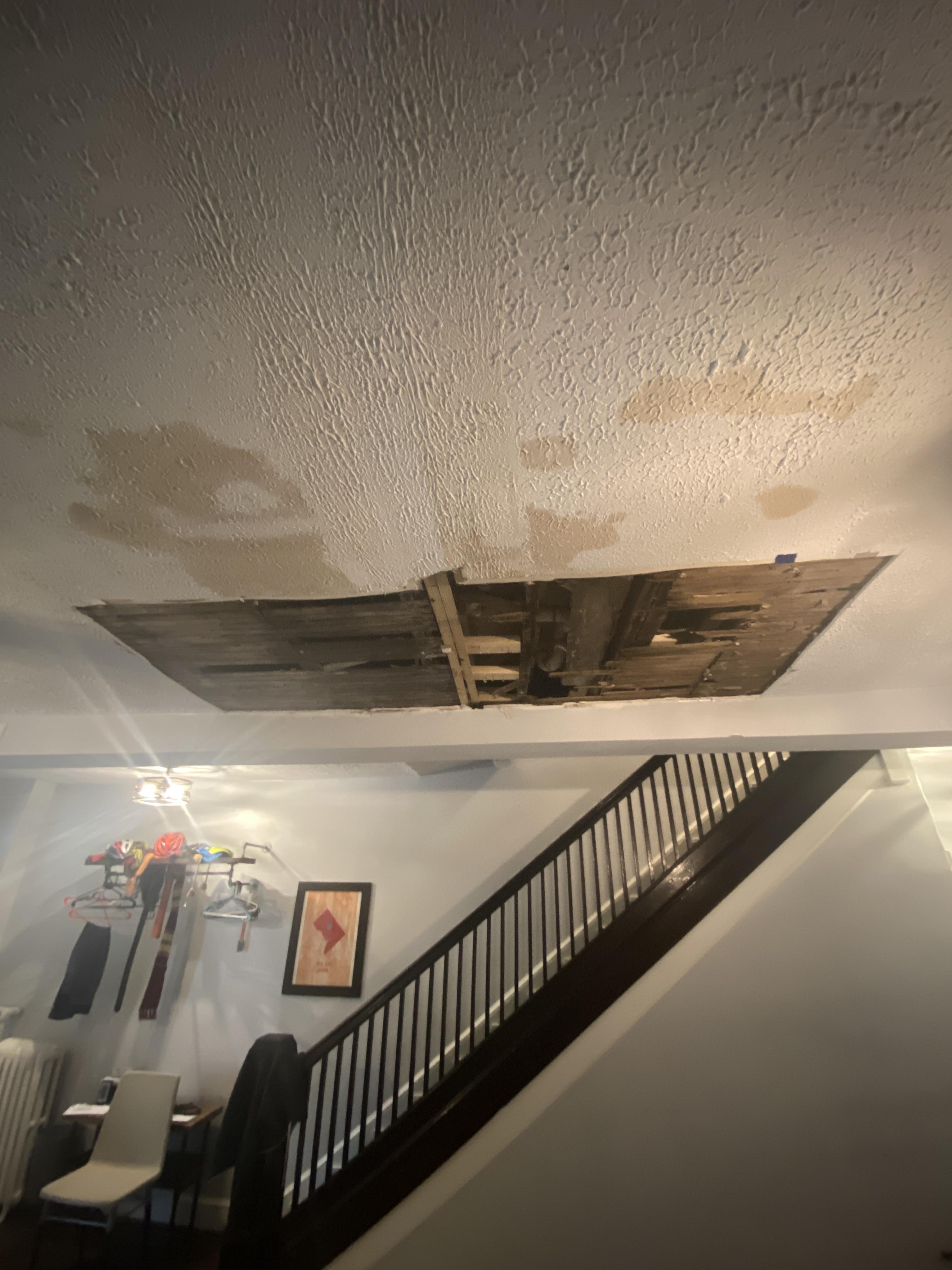 Black mold removal in baltimore Maryland 