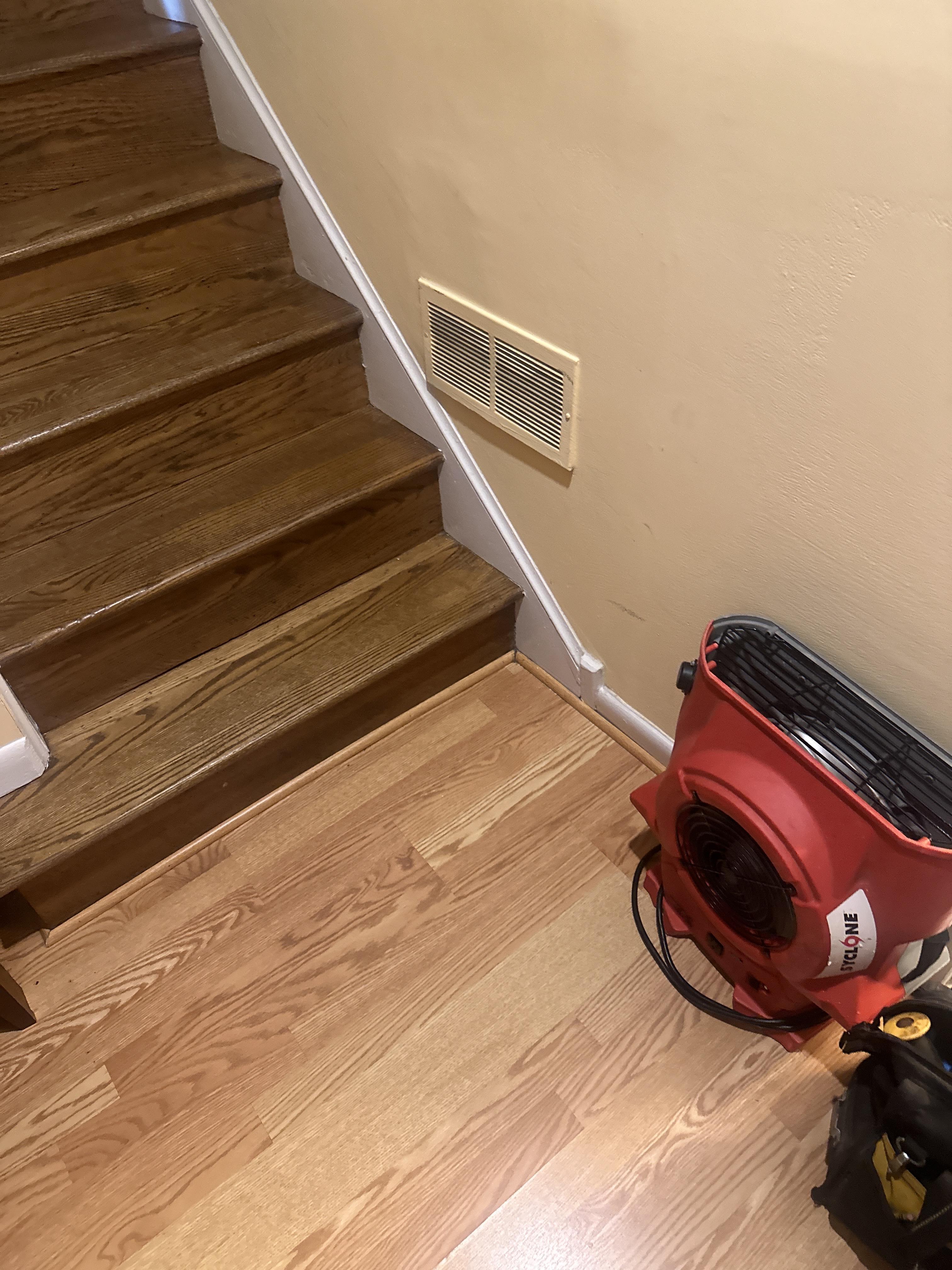 Mold remediation in Washington DC 